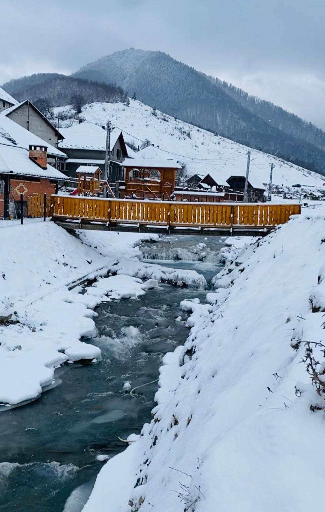 Pensiunea Suci Botiza Exteriér fotografie