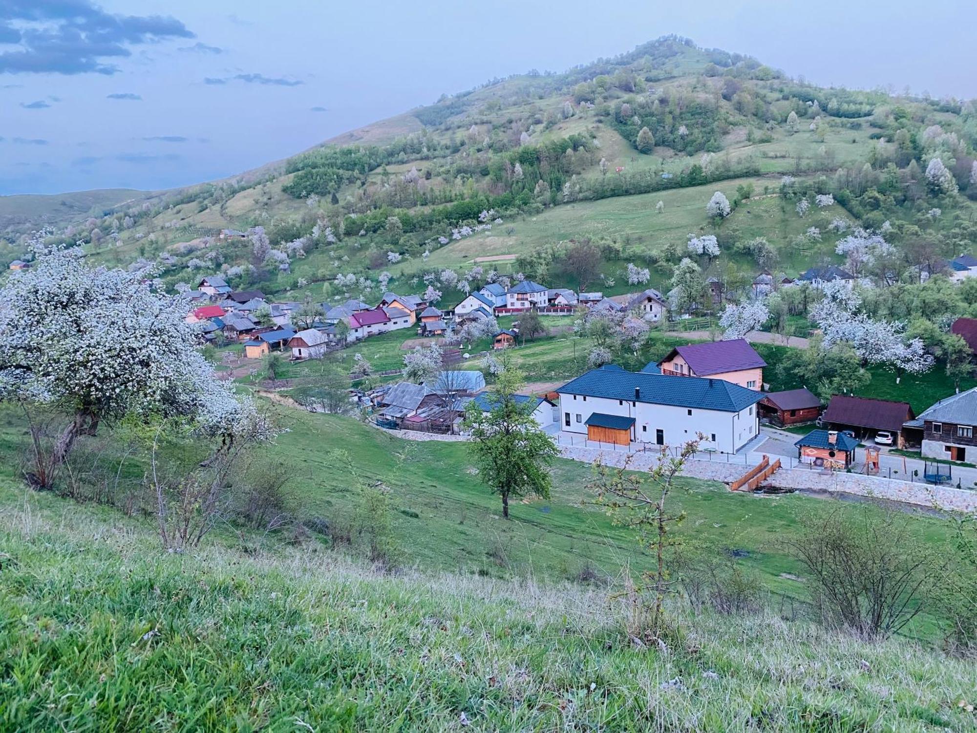 Pensiunea Suci Botiza Exteriér fotografie